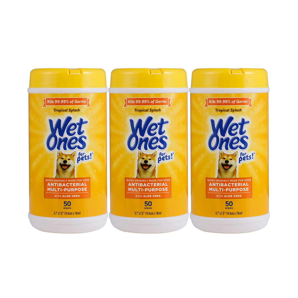 Wet Ones Pets tropical splash canister for quick post-walk cleanups.