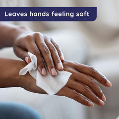 Wet Ones Tropical Splash wipes held in hand for quick cleanup