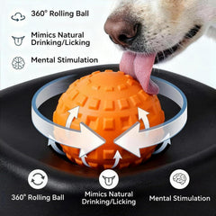 WFOFMO spill-resistant-base keeps bowls stable on any floor for mess-free feeding.