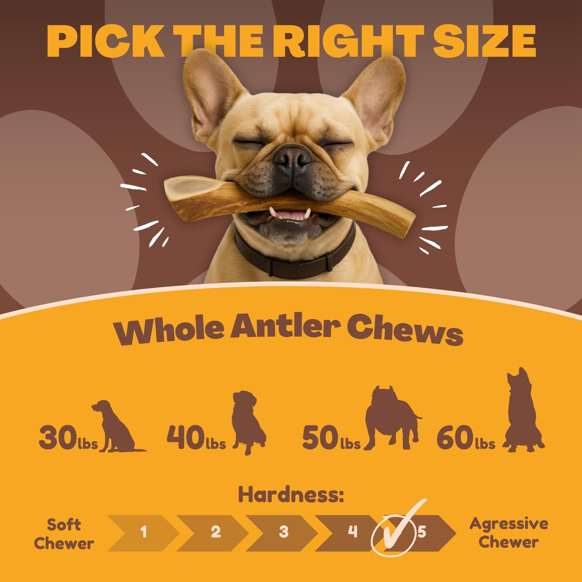 No additives or preservatives—pure deer antler chew for dogs