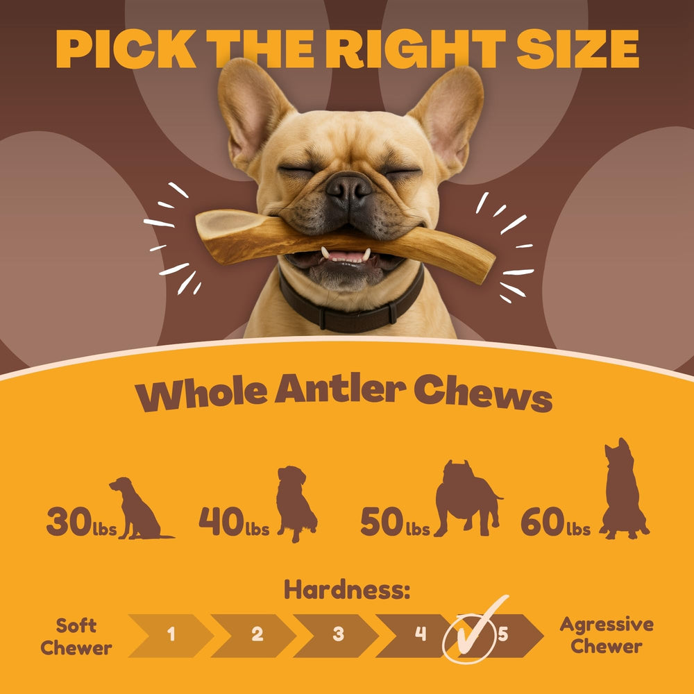 No additives or preservatives—pure deer antler chew for dogs