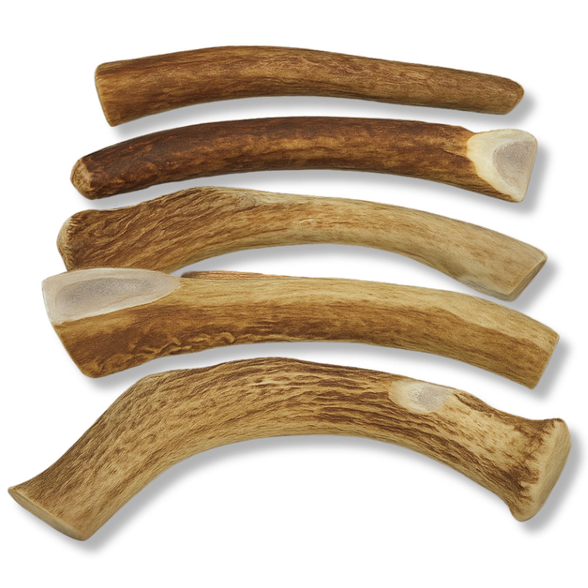 Odorless, mess-free antlers by WhiteTail Naturals for indoors