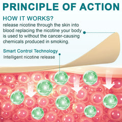 WHLH & WELL-BEING quit patch on clean, hairless arm.