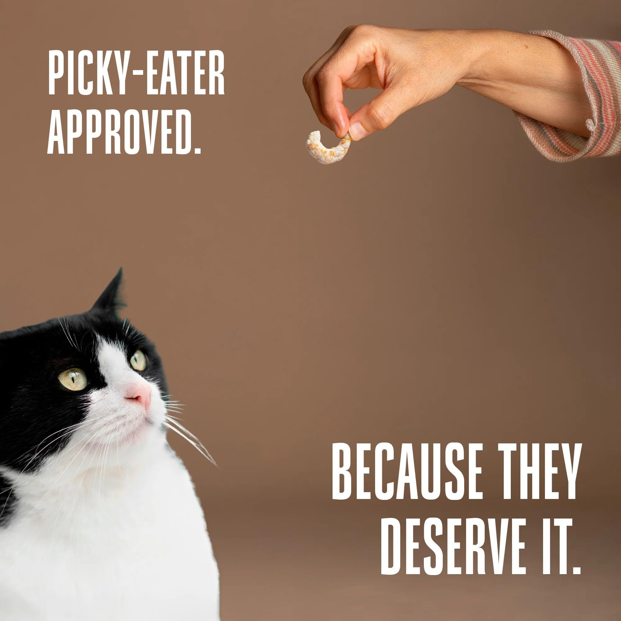 Whole Life Pet Just One Shrimp allergen-free option for sensitive stomachs.