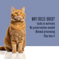 Whole Life Pet Just One Shrimp meal topper sprinkled on kibble for flavor boost.
