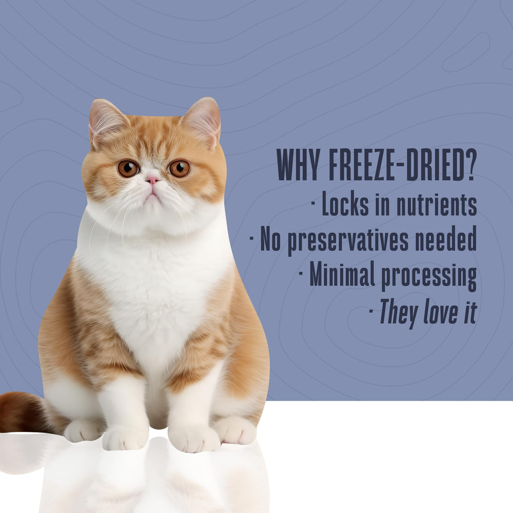 Whole Life Pet Just One Turkey treats suitable for sensitive tummies