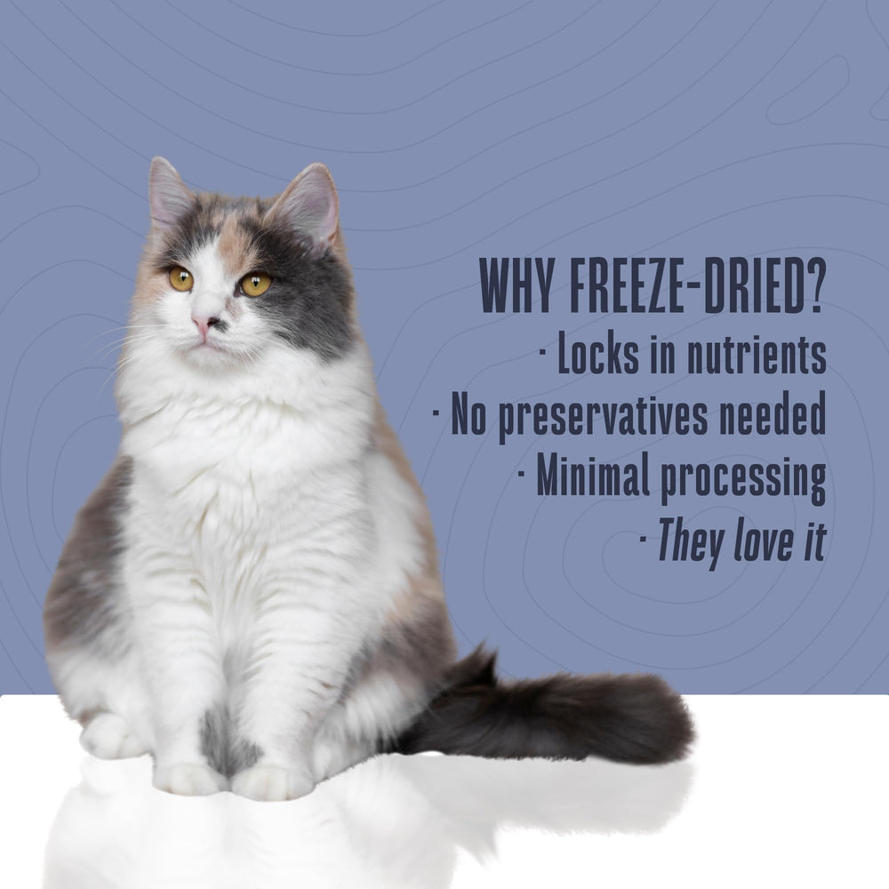 Friandise chat sans allergènes, thon unique, option adaptée aux besoins sensibles.