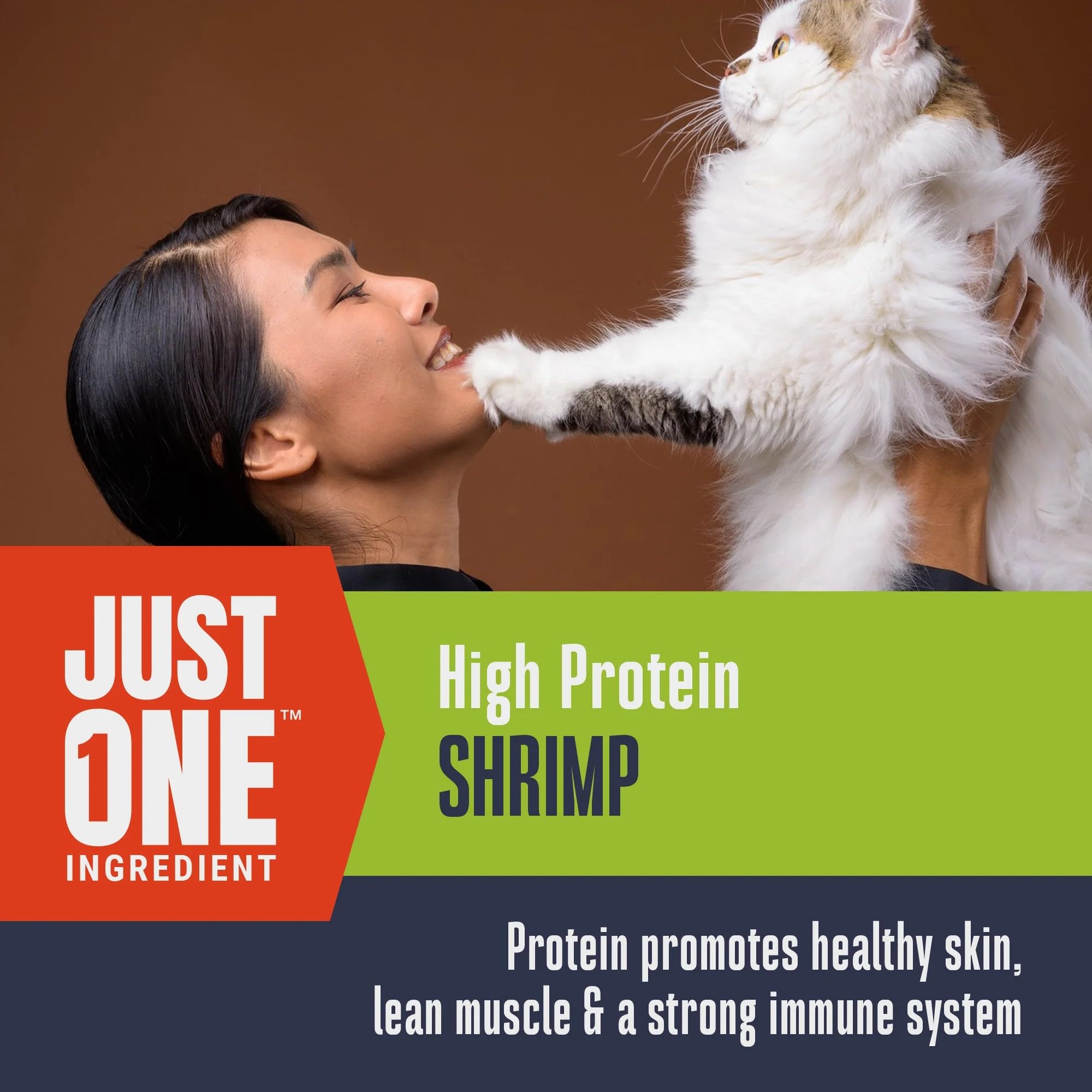 Whole Life Pet Just One Shrimp training reward for cats promotes positive reinforcement.