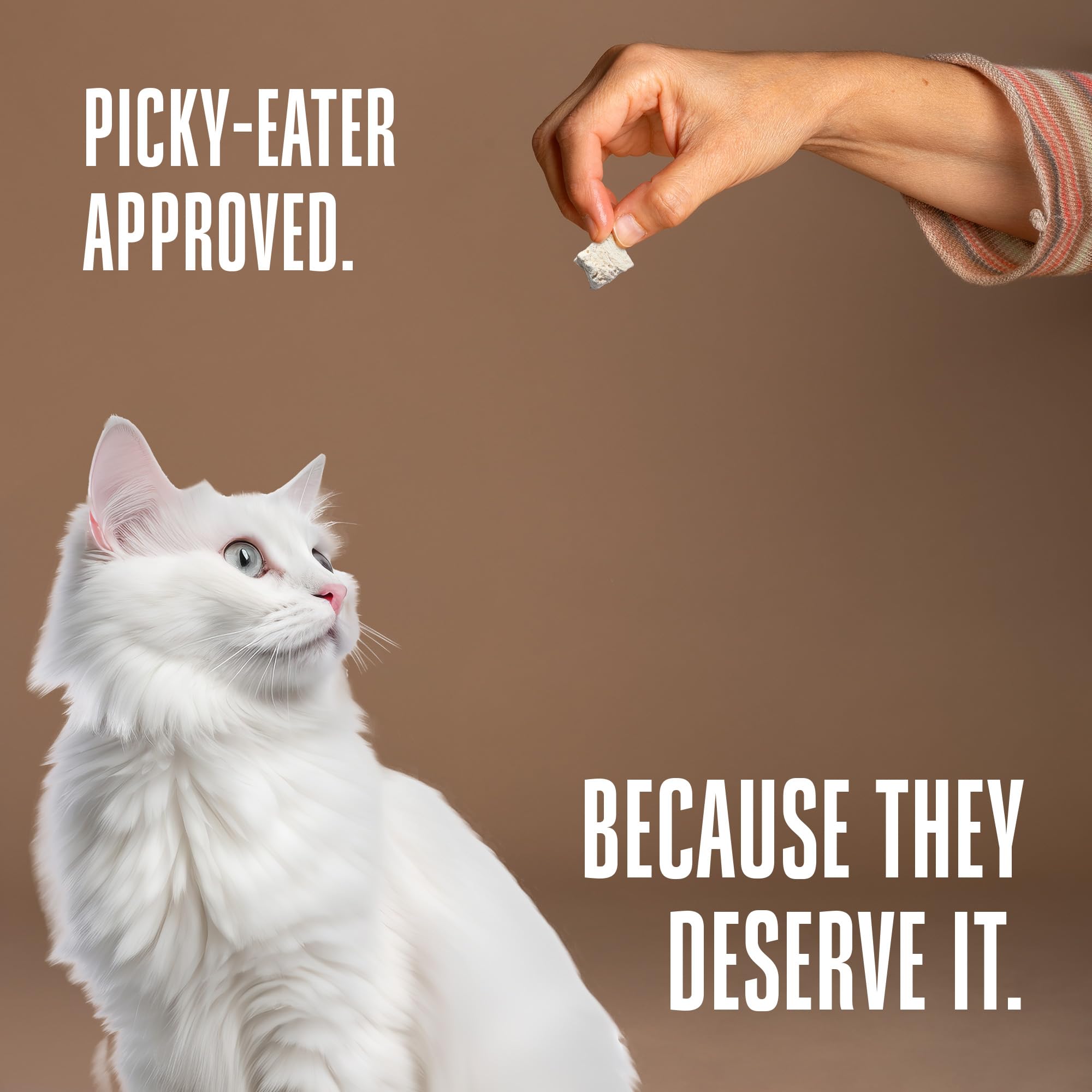 Whole Life Pet Just One Turkey cat food topper to boost meals