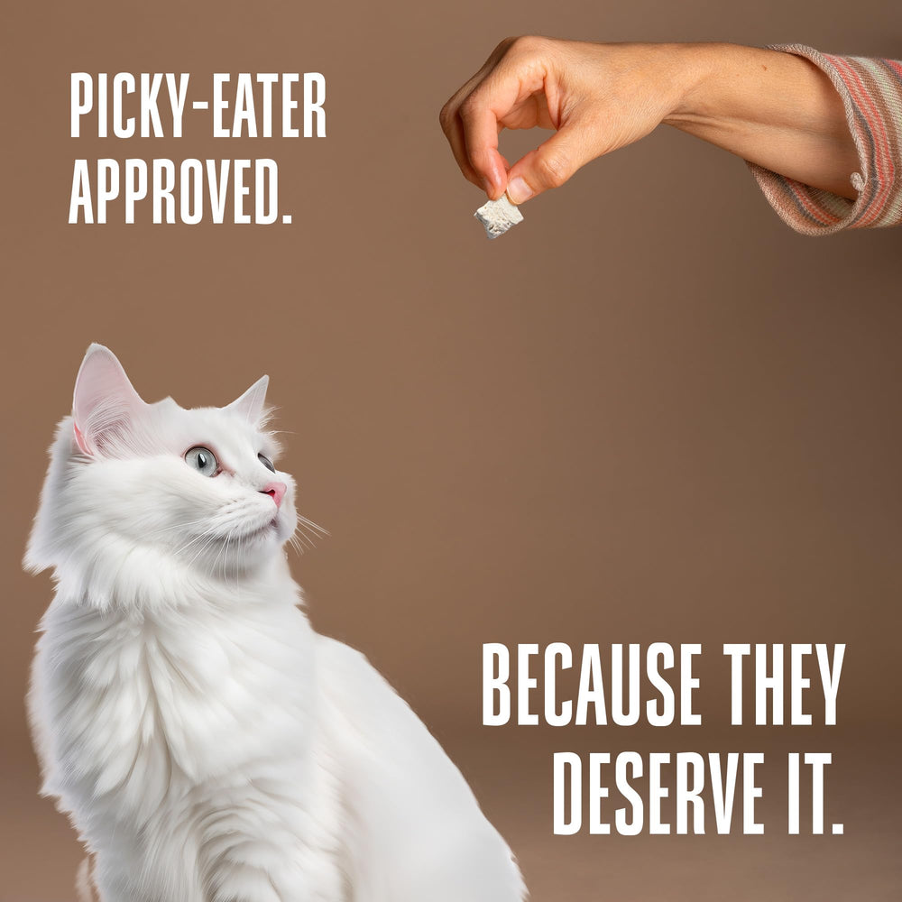 Whole Life Pet Just One Turkey cat food topper to boost meals