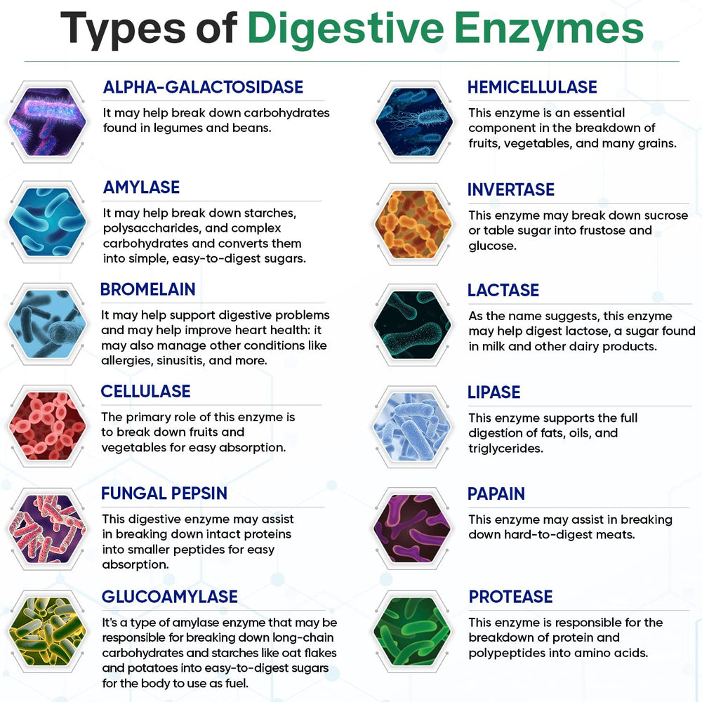 Wholesome Wellness Digestive Enzymes bottle side reveals vegan, gluten-free formulation