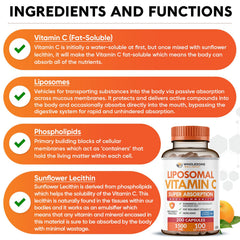 Wholesome Wellness Vitamin C label showing non-GMO and soy-free details.