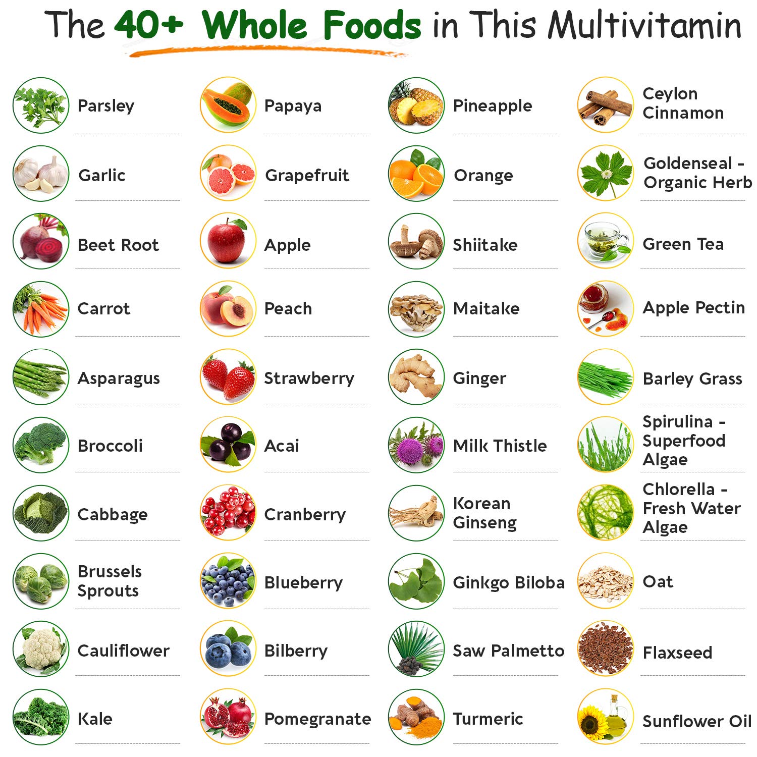 Wholesome Wellness Plant-based minerals calcium magnesium zinc for daily minerals
