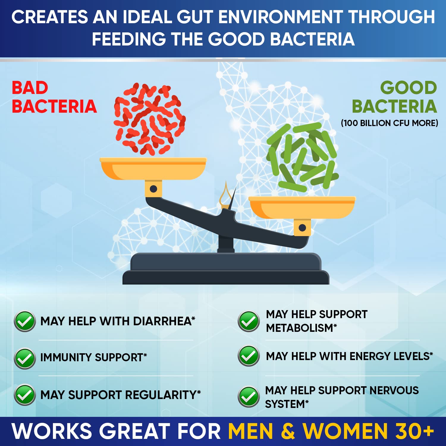 Wholesome Wellness probiotics with prebiotics and enzymes for gut support