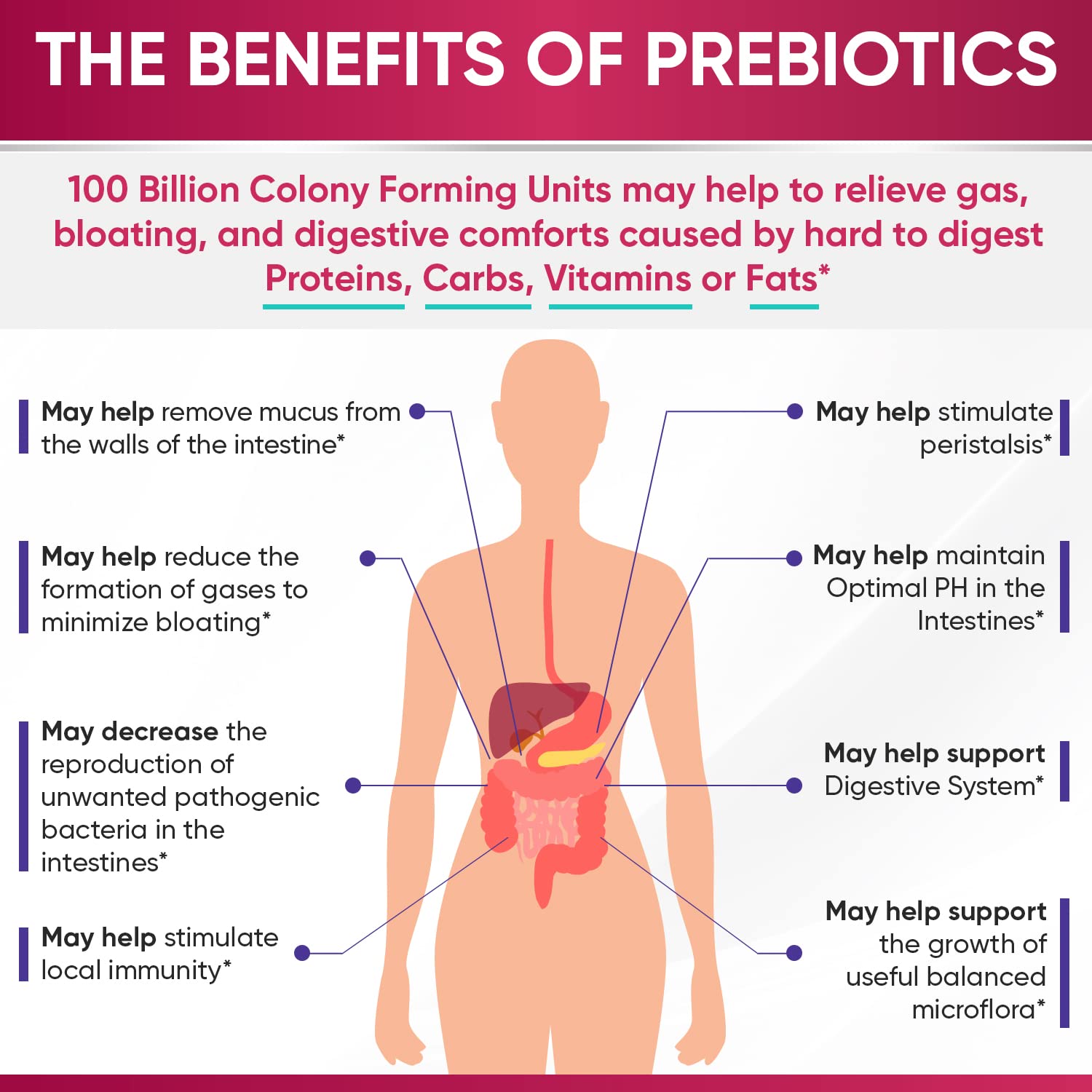 Wholesome Wellness prebiotics and enzymes aid nutrient absorption