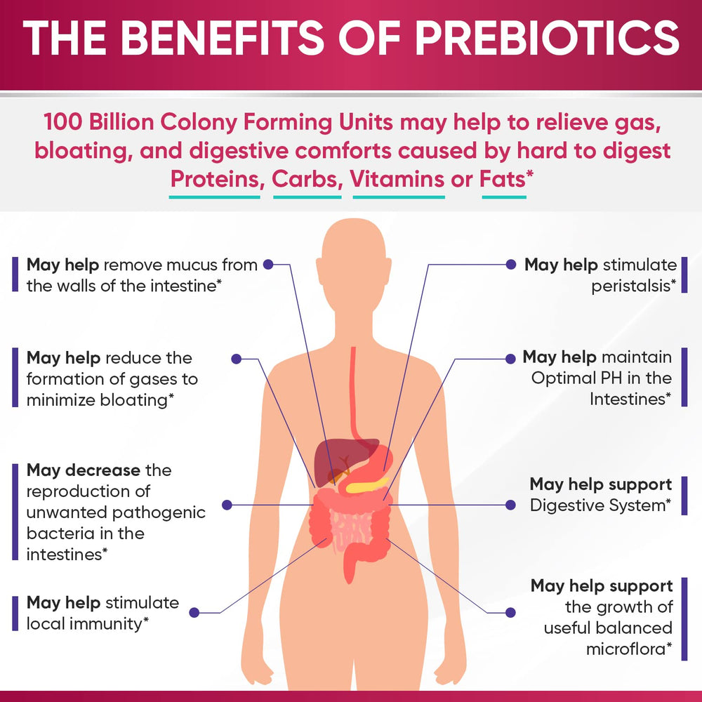 Wholesome Wellness prebiotics and enzymes aid nutrient absorption
