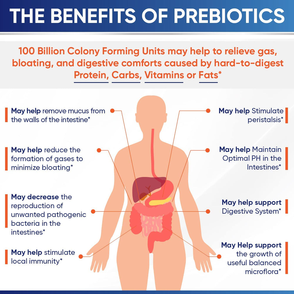 Vegan non GMO Wholesome Wellness probiotic capsule