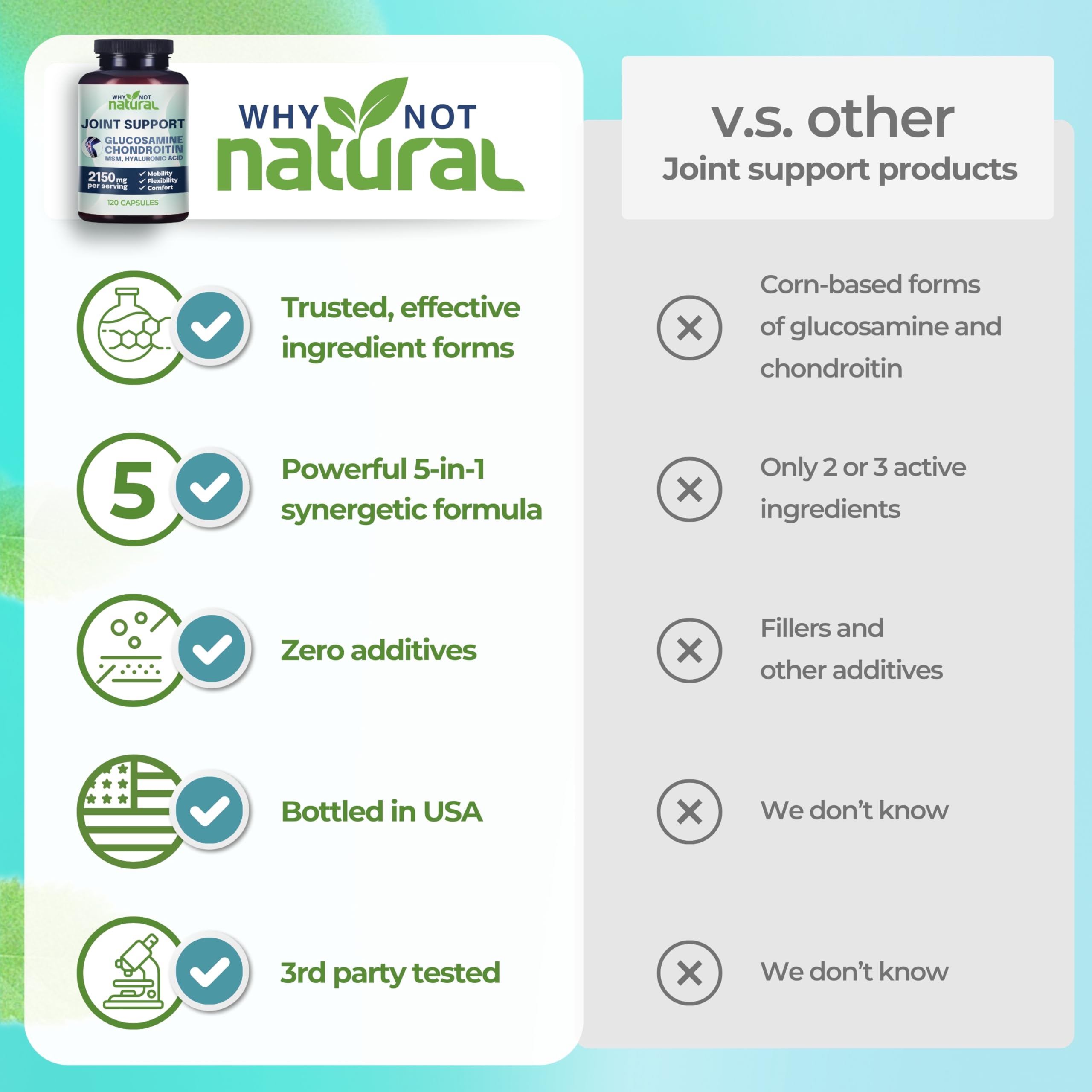 Why Not Natural glucosamine chondroitin MSM lifestyle use photo emphasizes mobility.