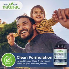 Why Not Natural glucosamine chondroitin MSM supplement packaging demonstrates purity.