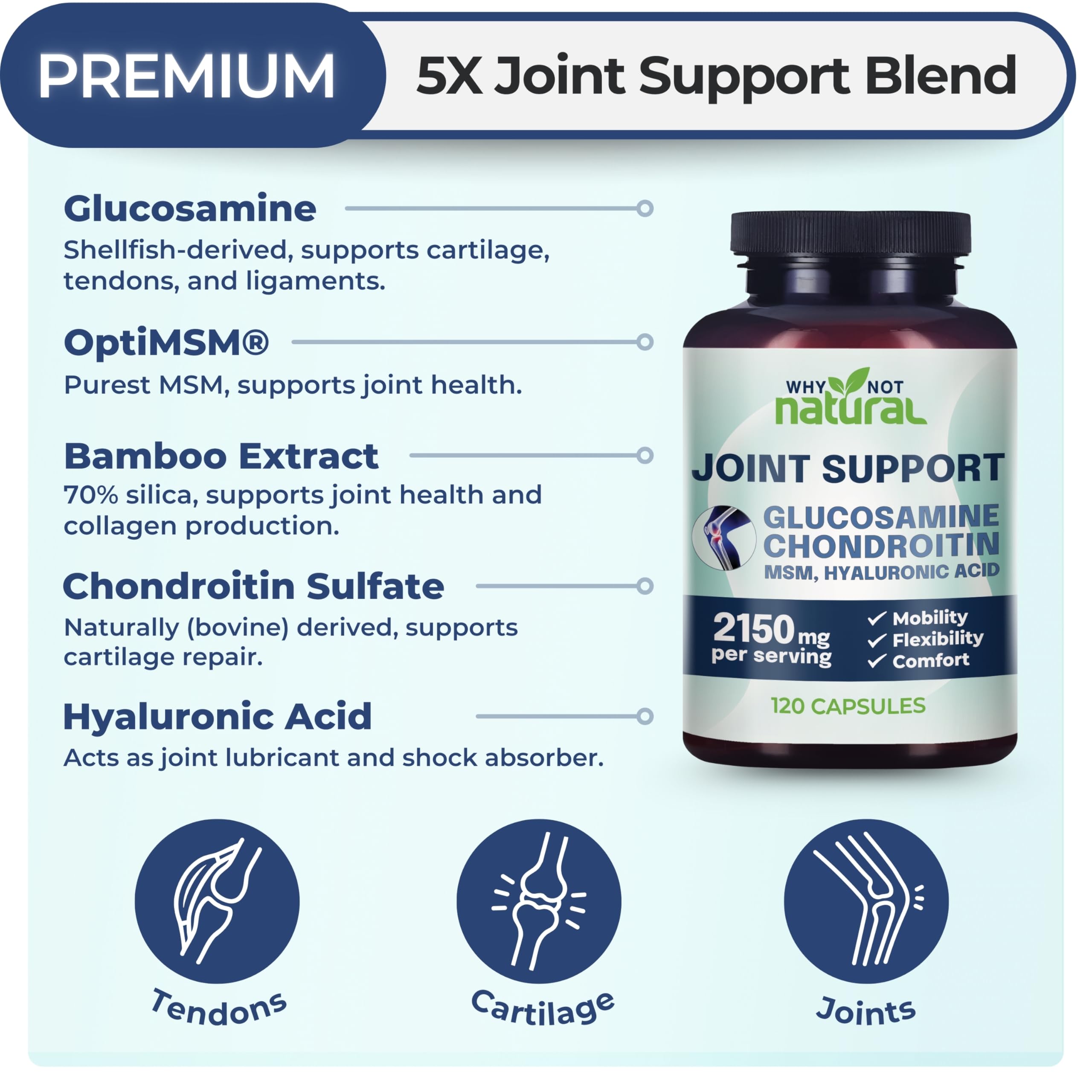 Why Not Natural glucosamine chondroitin MSM tablet closeup highlights active joint care.