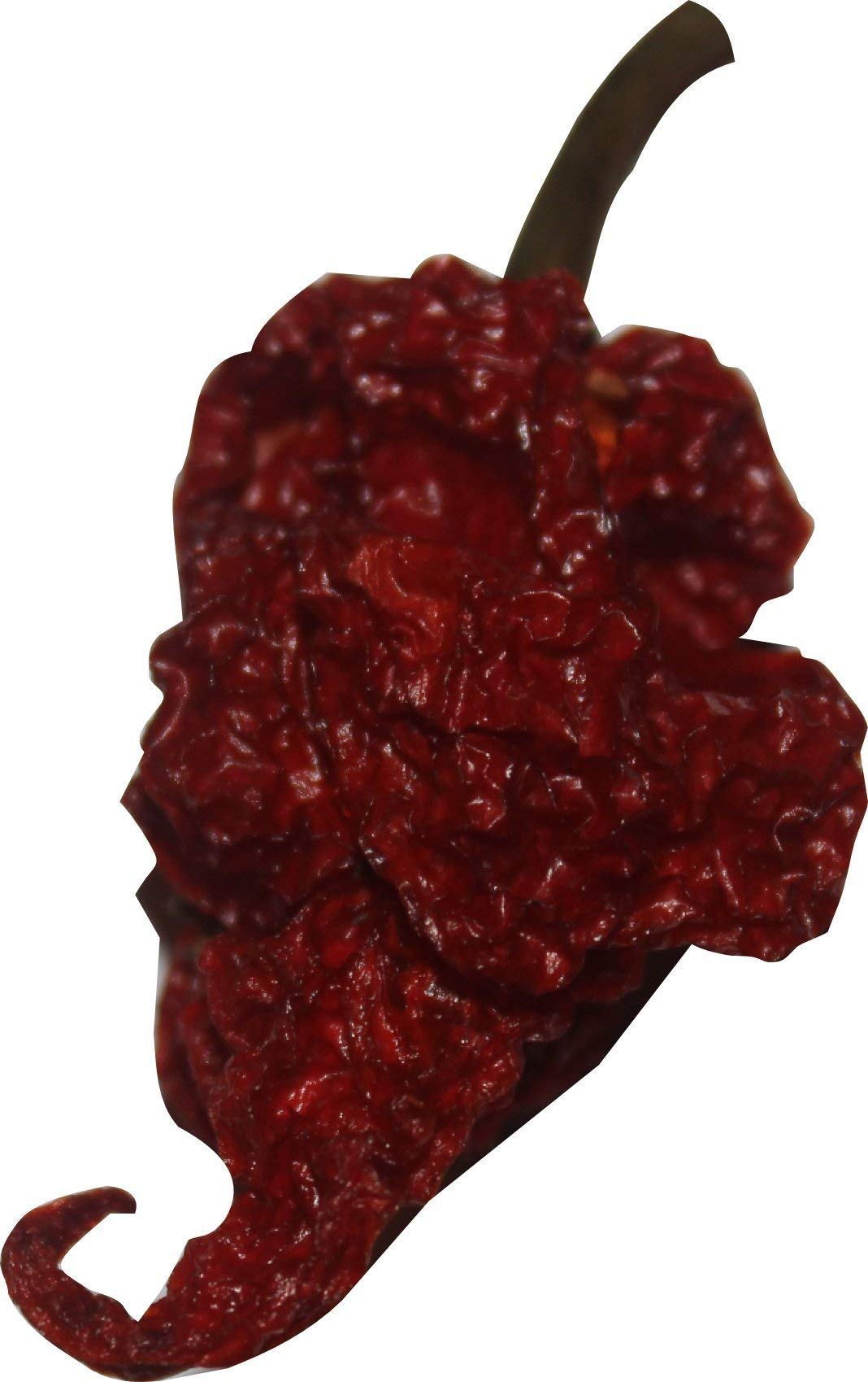 Wicked Reaper peppers representing high heat for chili heads.