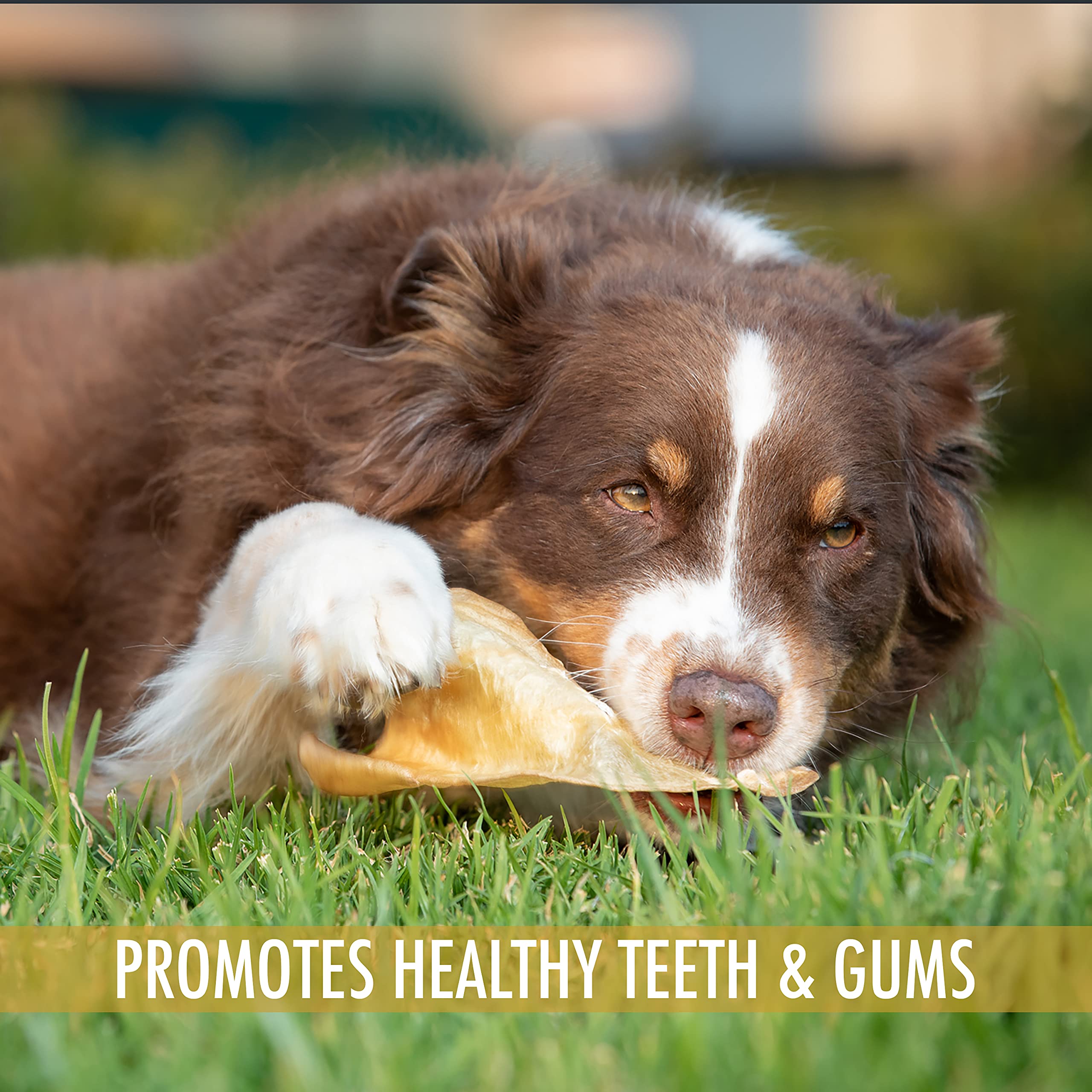 Wild Eats Grass-Fed Water Buffalo snack emphasizes natural sourcing and sustainability.