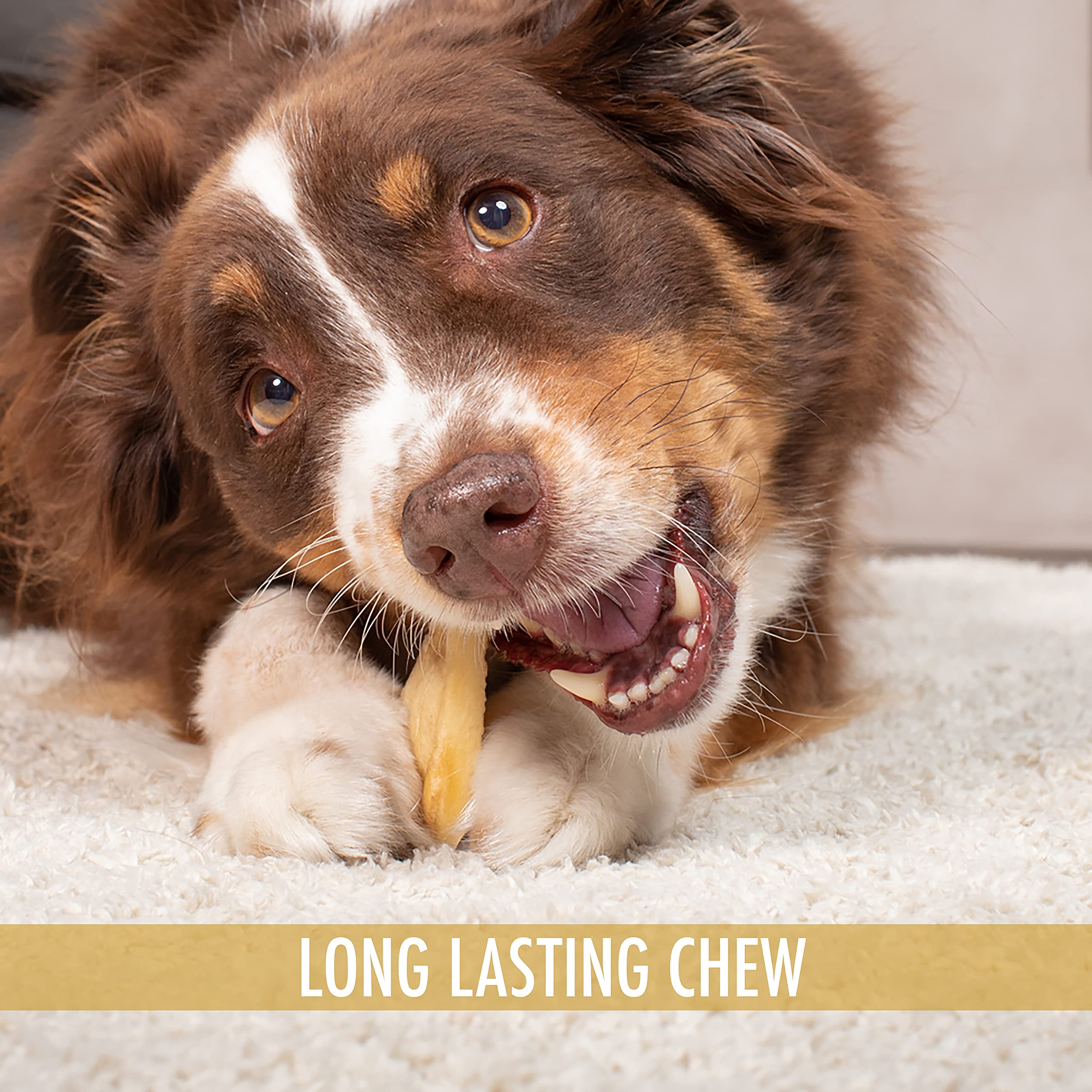 Wild Eats Rawhide-Free Dog Chew providing a durable, safer alternative.