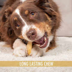 Wild Eats Rawhide-Free Dog Chew providing a durable, safer alternative.