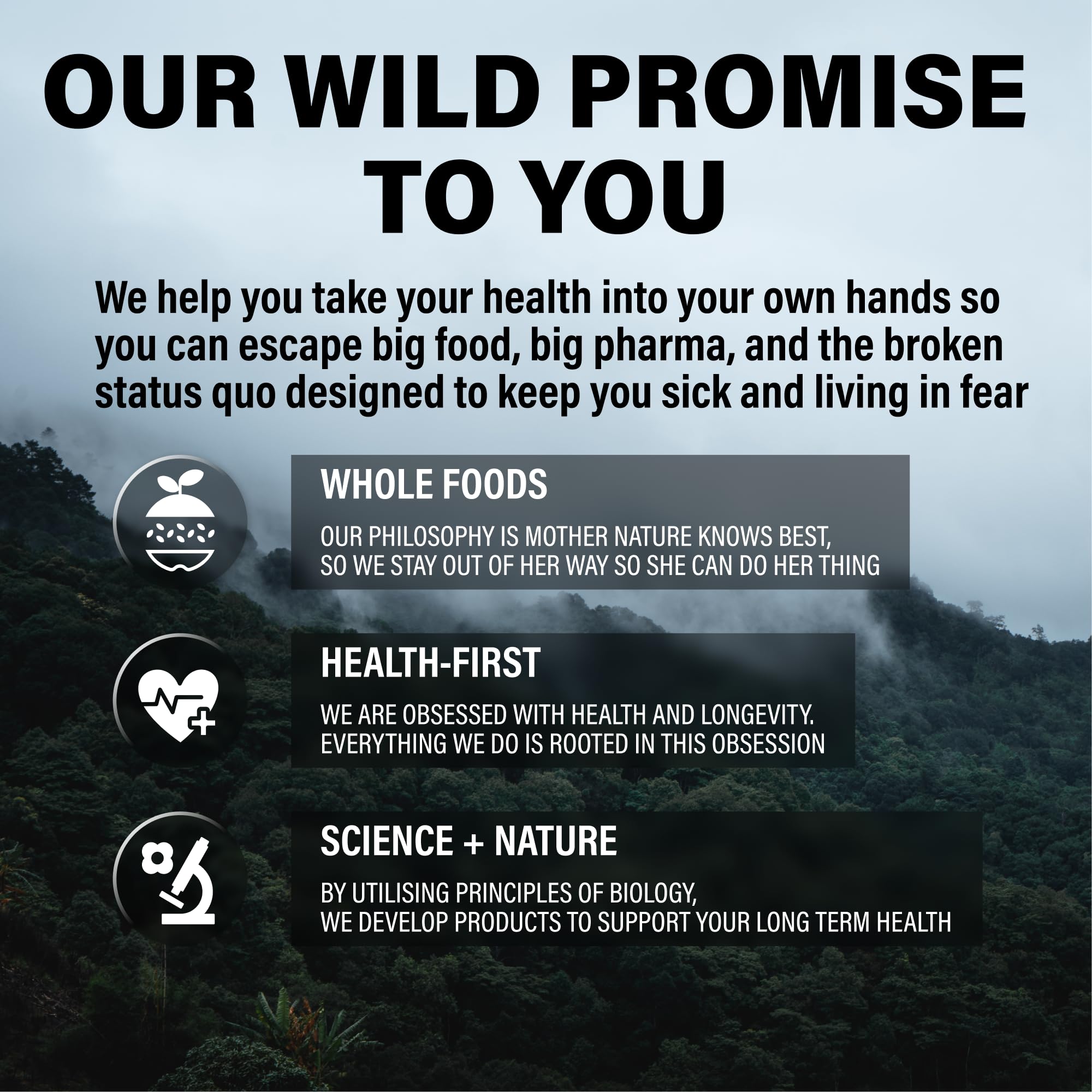Tabletop shot of Wild Foods multivitamin supporting daily nutrient intake