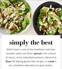 Wild Groats cooked buckwheat porridge served warm for cozy mornings