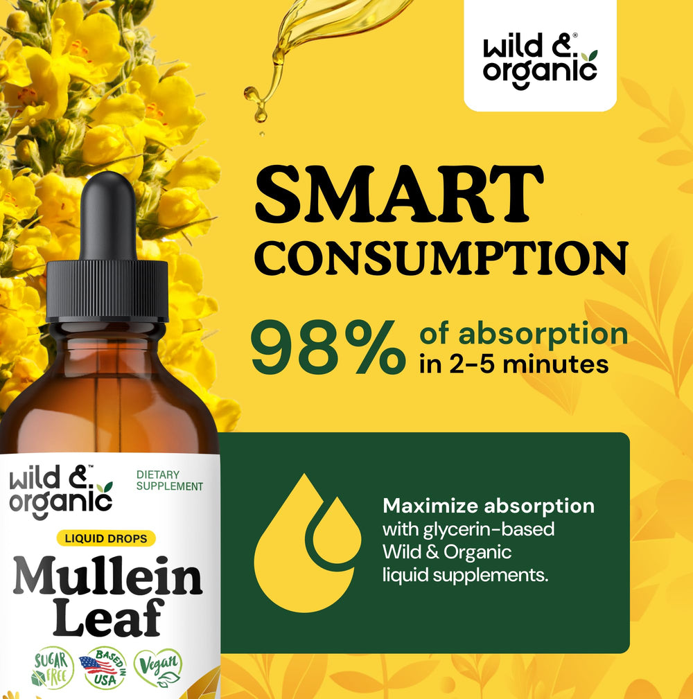 Glycerin-based, alcohol-free Wild & Organic Mullein Drops in a dropper for tea