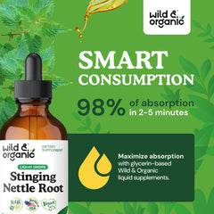 Wild & Organic nettle leaves closeup shows natural herbal ingredients.