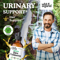 Dropper dispensing Wild & Organic Saw Palmetto drops for convenient daily use
