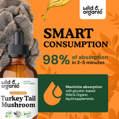 Wild & Organic turkey tail tincture dropper for precise dosing.
