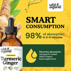 Wild & Organic Turmeric Ginger Drops dropper close-up shows convenient on-the-go dosing.