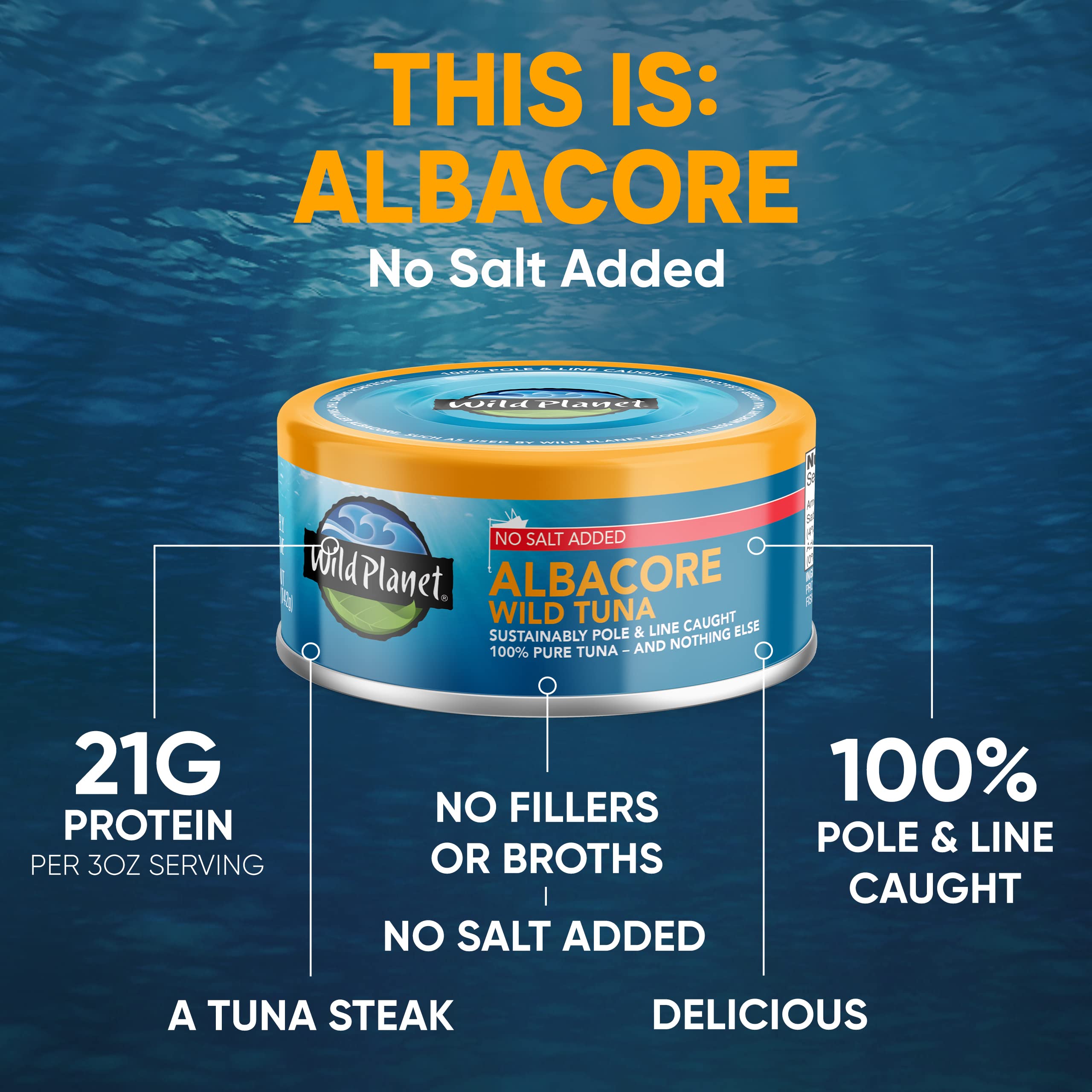 Wild Planet albacore tuna steak served on a plate to showcase flavor and texture.