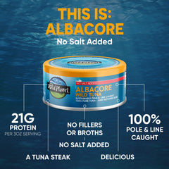 Wild Planet albacore tuna steak served on a plate to showcase flavor and texture.