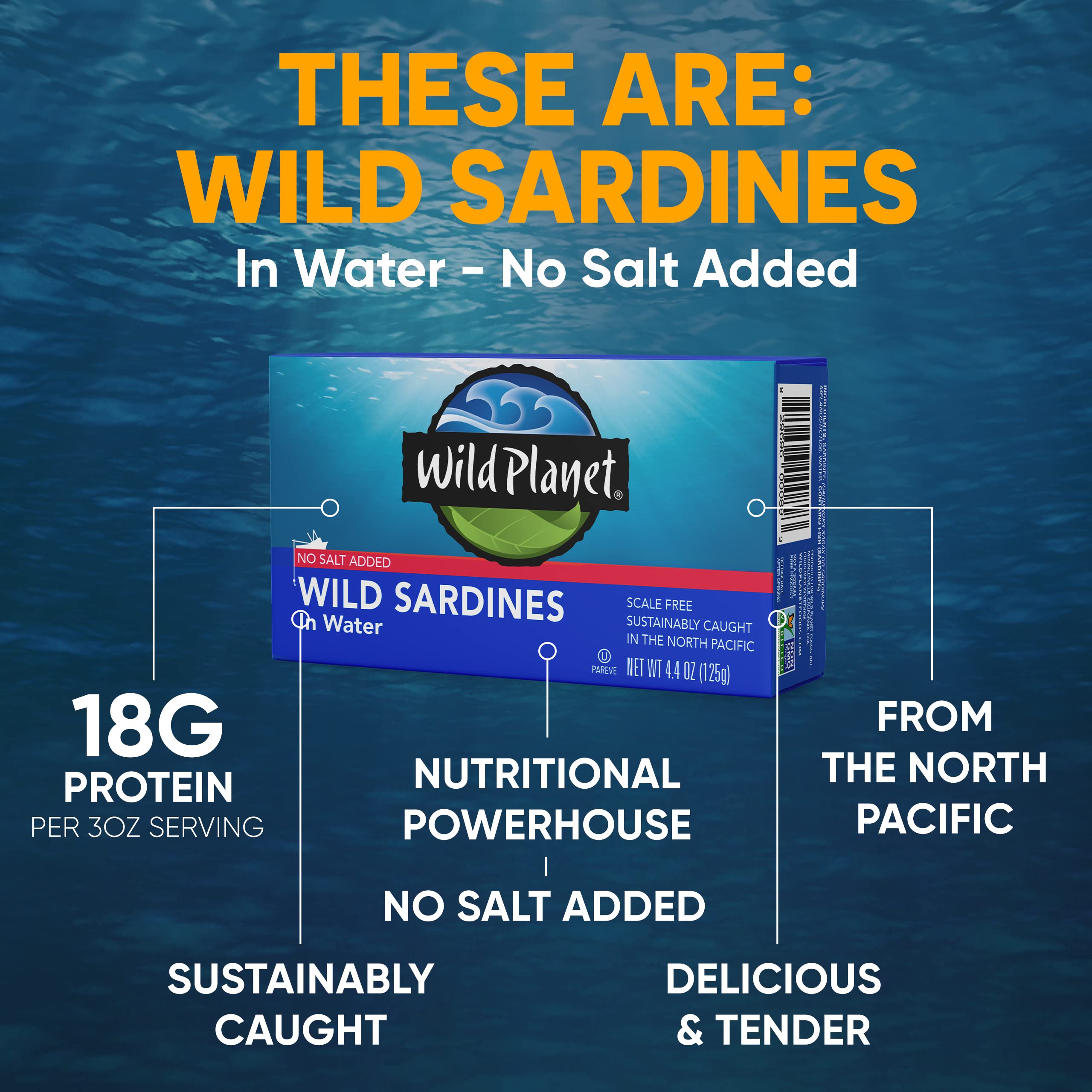 Close-up of Wild Planet sardines showing meaty texture and quality.