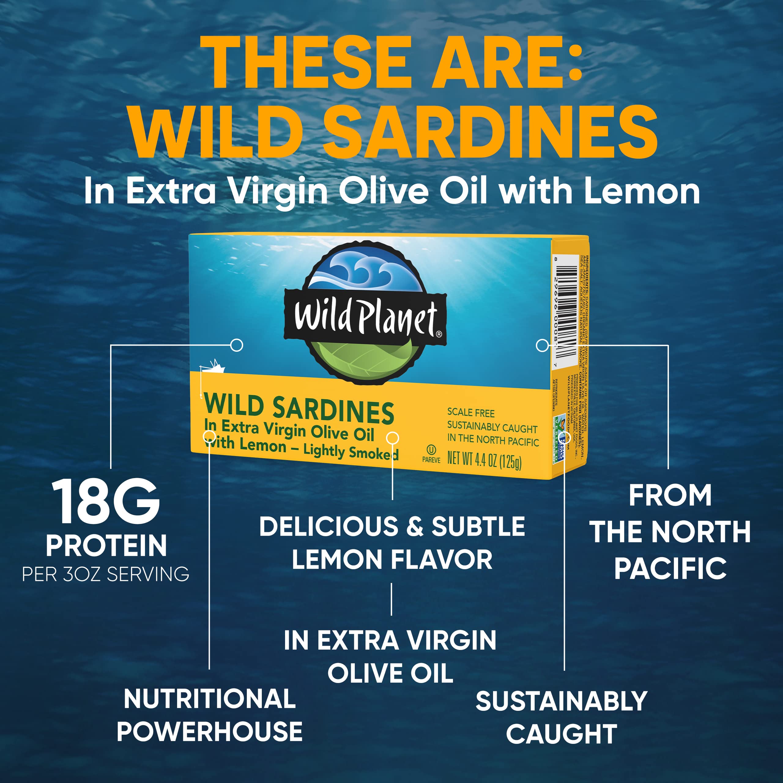 Wild Planet sardines on sandwich, a quick protein-packed lunch option.