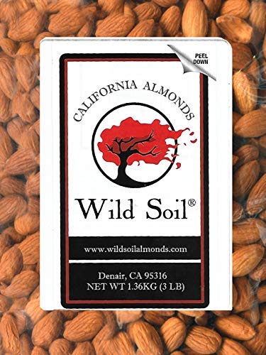 Wild Soil Terra Preta almonds closeup emphasizing protein and vitamin E richness