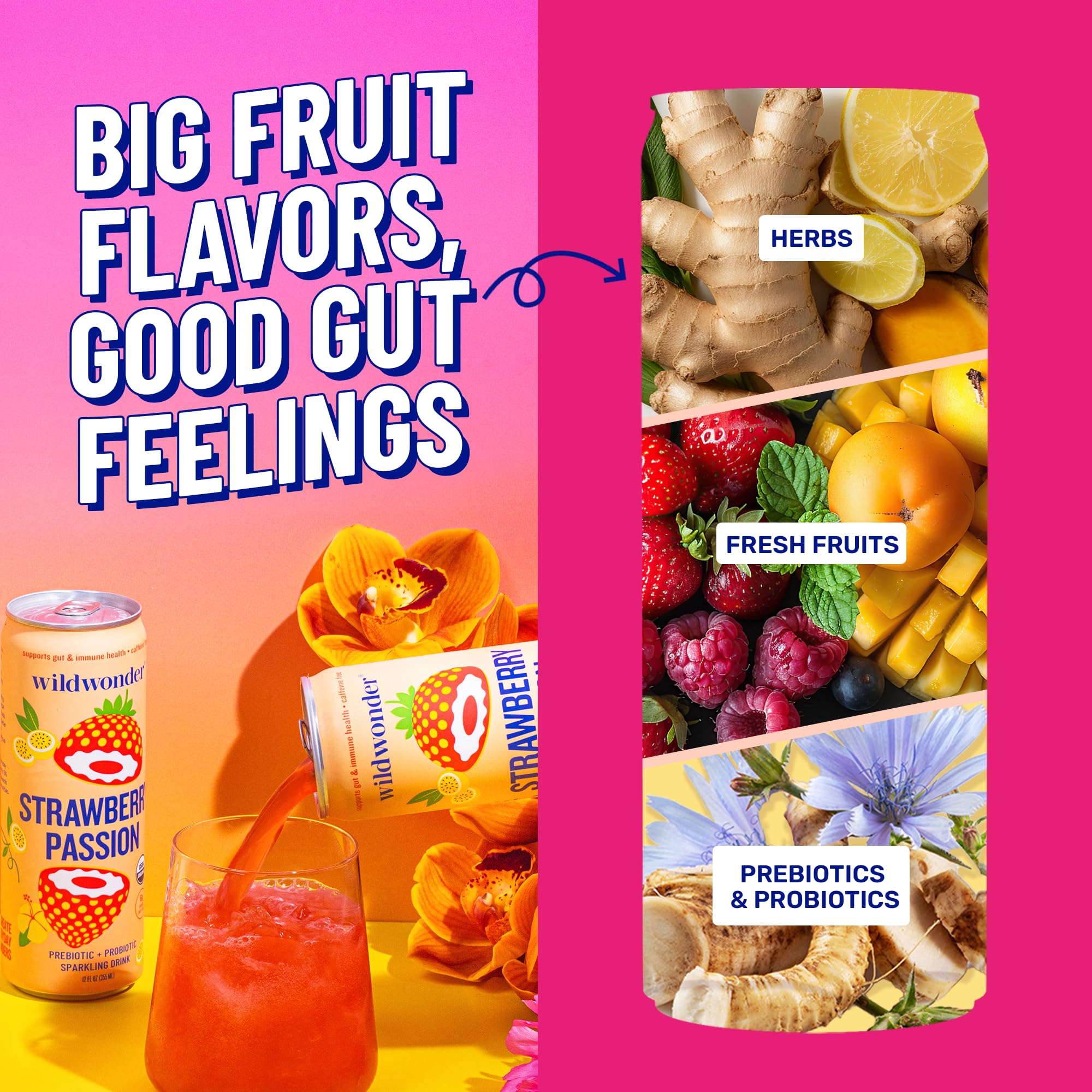 Wildwonder 12-pack display in-store evokes convenience and everyday health ritual.