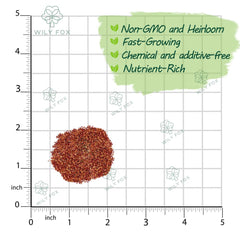 Wily Fox rare strawberry seeds extra-big fruit promise abundant harvest and delicious berries.