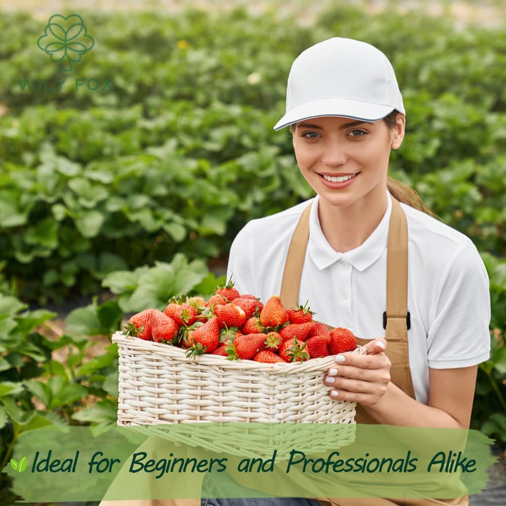 Wily Fox rare strawberry seeds gift pack ideal for gardening lovers.