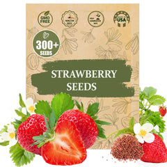 Wily Fox Rare Strawberry Seeds for planting seedling setup, easy start for beginners.