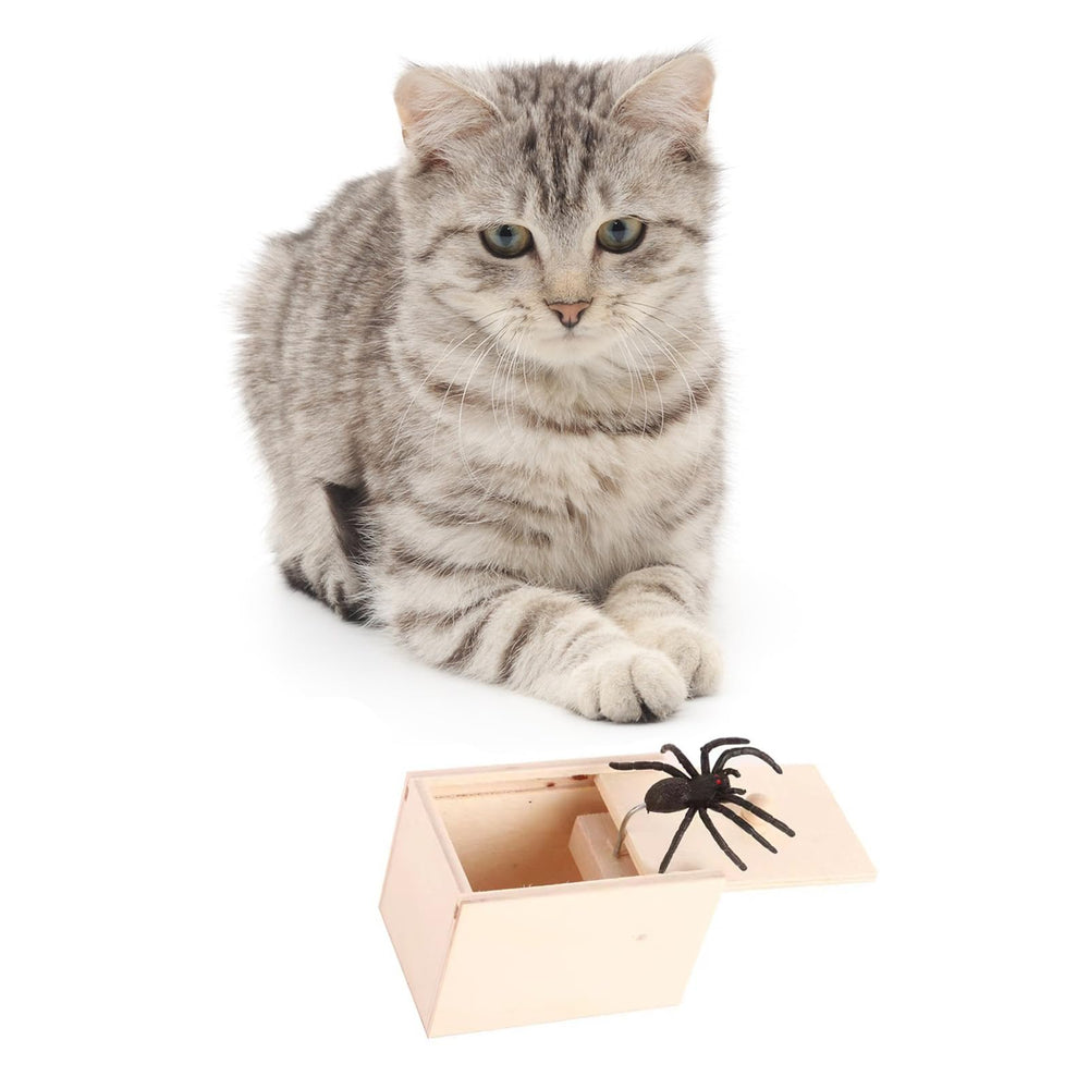 Winbar friendly prank with soft spider for family fun and laughter