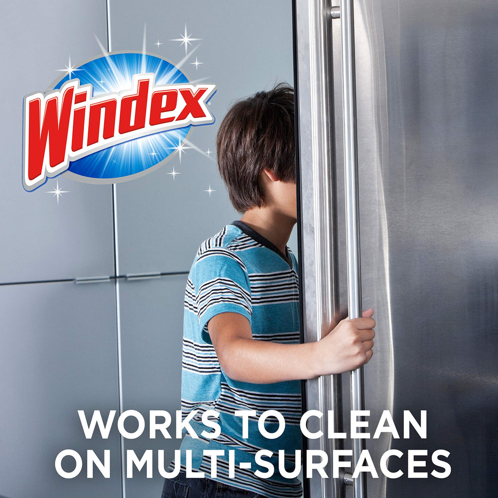 Windex Citrus Multisurface label area shows product components and usage hints.