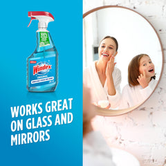 Windex glass surfaces cleaning on doors, windows, and tabletops.