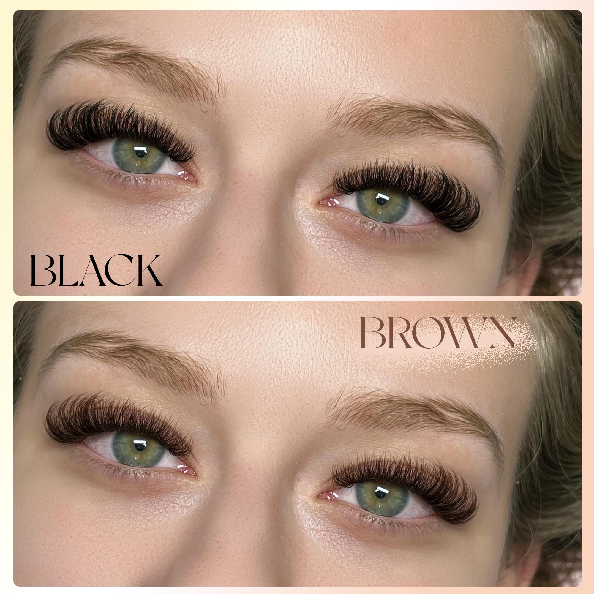 Winifred reusable brown lash clusters designed for multiple uses.