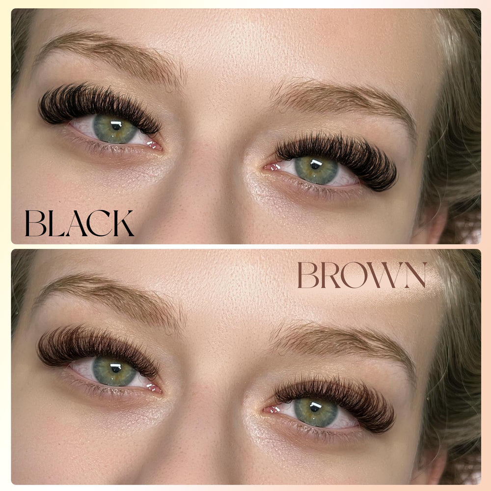 Winifred reusable brown lash clusters designed for multiple uses.