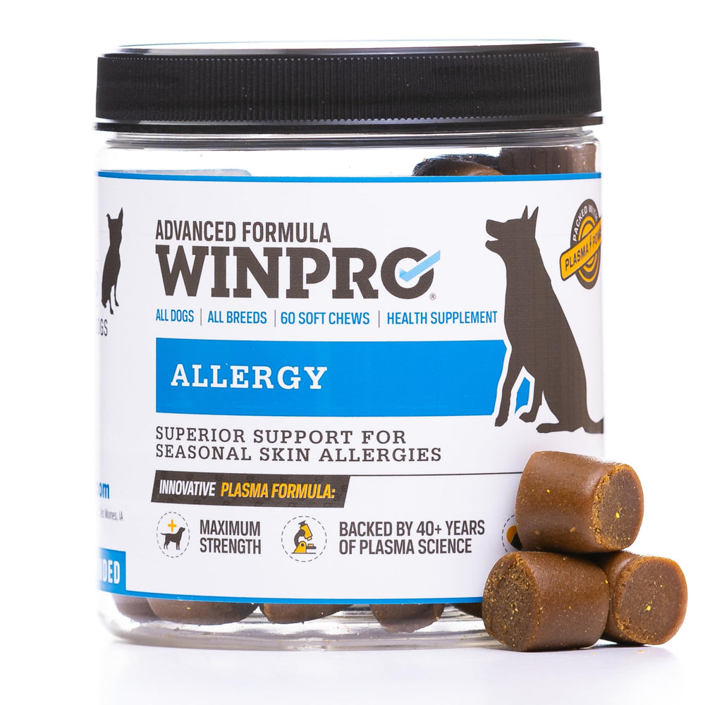 WINPRO Allergy Chews bottle highlighting a grain-free formula for seasonal skin support